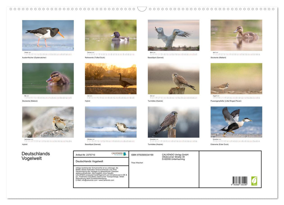Deutschlands Vogelwelt (CALVENDO Wandkalender 2027)