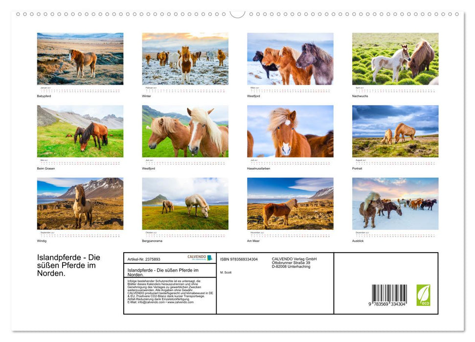Islandpferde - Die süßen Pferde im Norden. (CALVENDO Premium Wandkalender 2027)