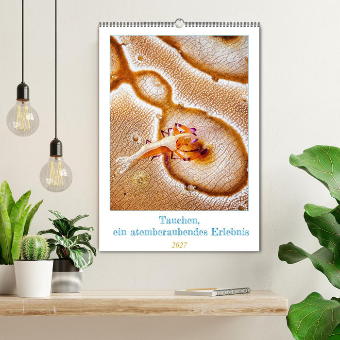 Tauchen, ein atemberaubendes Erlebnis (CALVENDO Wandkalender 2027)
