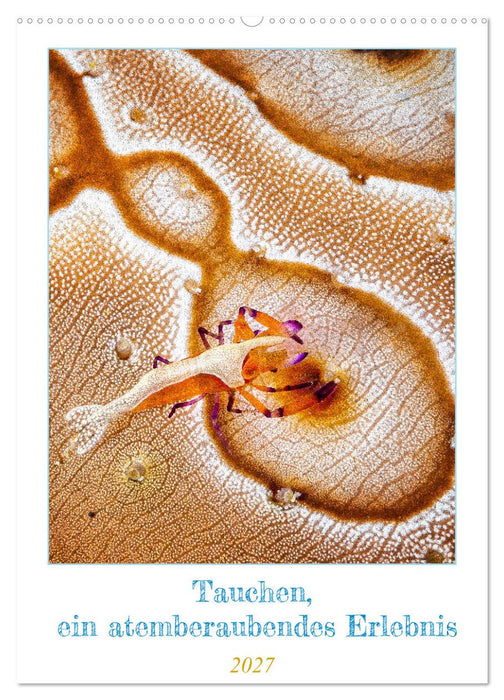 Tauchen, ein atemberaubendes Erlebnis (CALVENDO Wandkalender 2027)