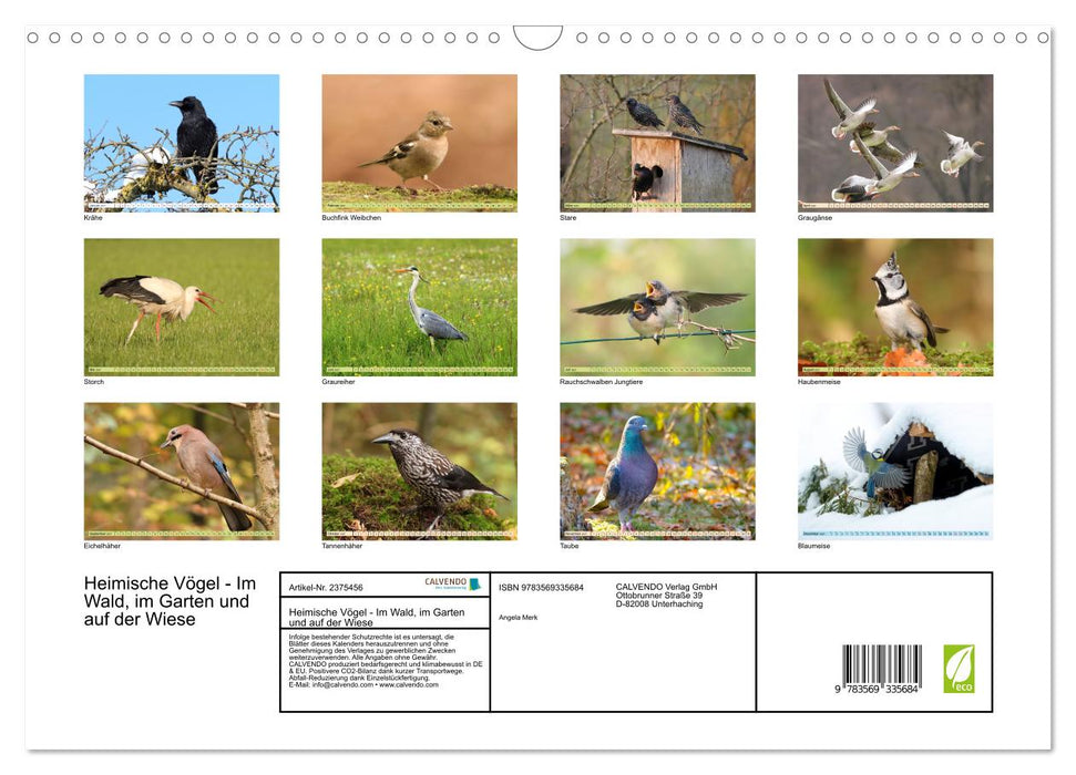 Heimische Vögel - Im Wald, im Garten und auf der Wiese (CALVENDO Wandkalender 2027)