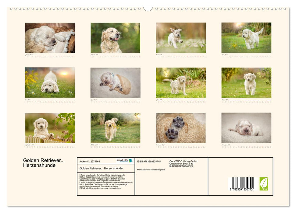 Golden Retriever... Herzenshunde (CALVENDO Premium Wandkalender 2027)
