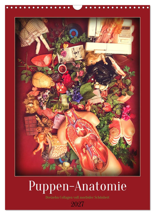 Puppen-Anatomie (CALVENDO Wandkalender 2027)