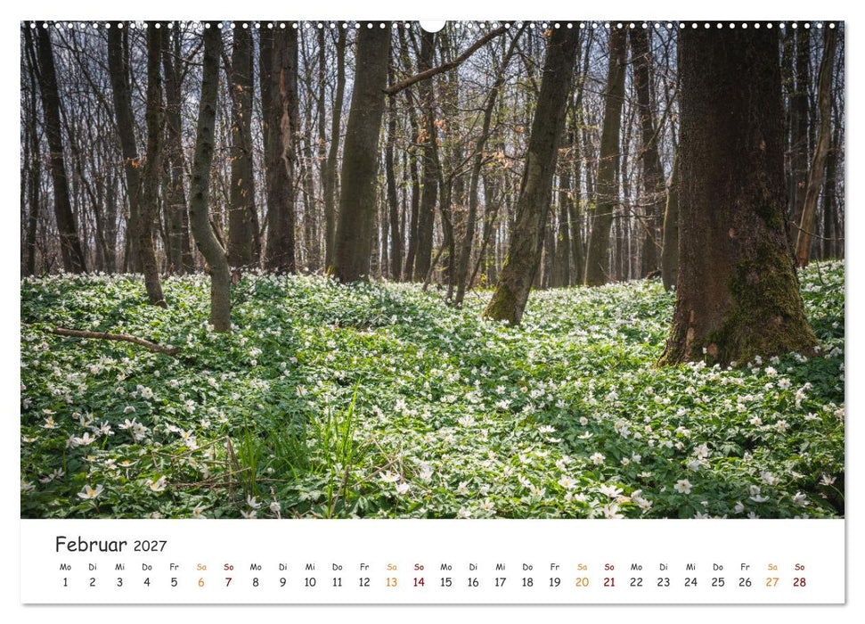 Magischer Harzwald (CALVENDO Premium Wandkalender 2027)