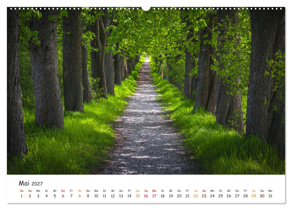 Magischer Harzwald (CALVENDO Premium Wandkalender 2027)