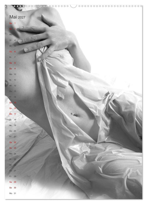 Papierakte (CALVENDO Premium Wandkalender 2027)