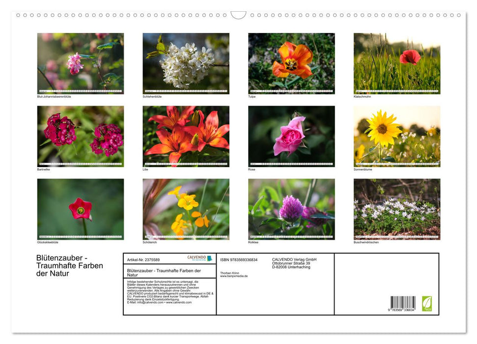 Blütenzauber - Traumhafte Farben der Natur (CALVENDO Wandkalender 2027)