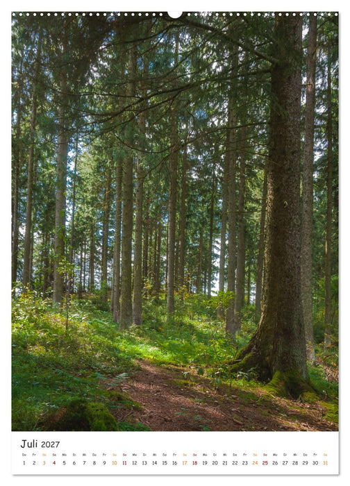 Bäume im Harz (CALVENDO Premium Wandkalender 2027)
