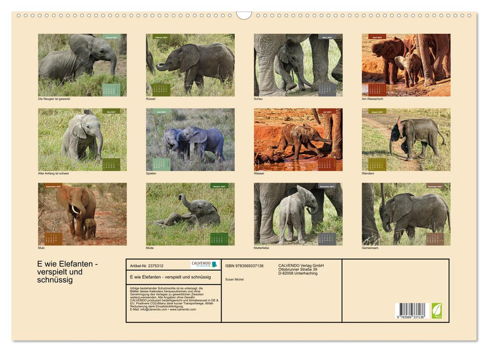 E wie Elefanten - verspielt und schnüssig (CALVENDO Wandkalender 2027)