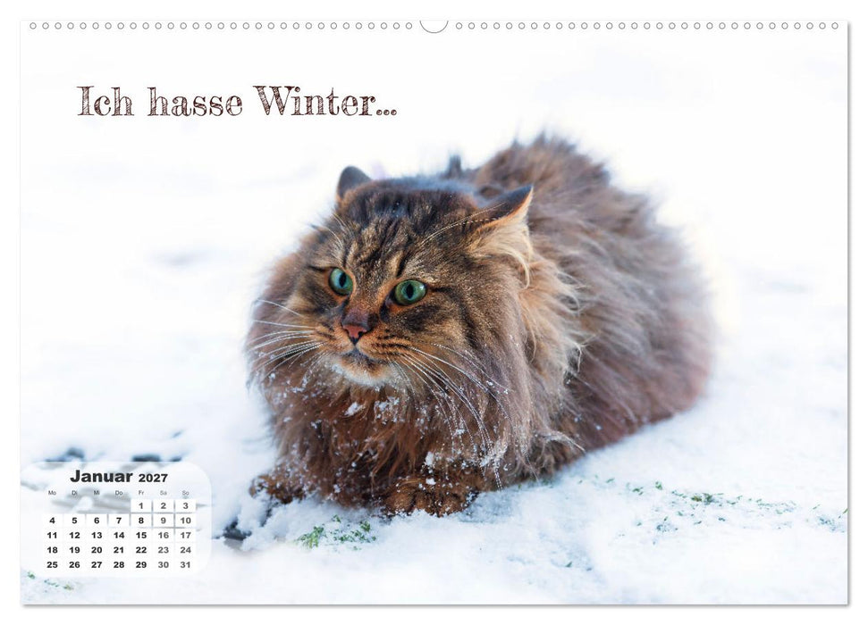 Tierisch und Heiter - Das Leben geht weiter 2027 (CALVENDO Premium Wandkalender 2027)