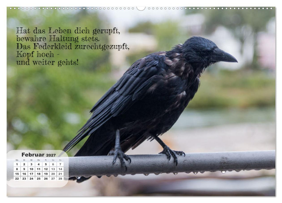 Tierisch und Heiter - Das Leben geht weiter 2027 (CALVENDO Premium Wandkalender 2027)
