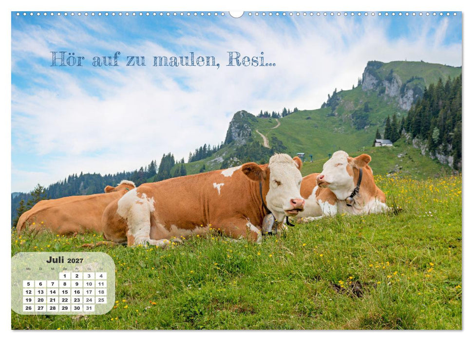 Tierisch und Heiter - Das Leben geht weiter 2027 (CALVENDO Premium Wandkalender 2027)