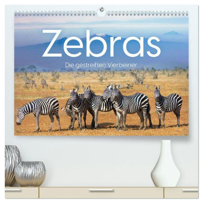 Zebras - Die gestreiften Vierbeiner. (CALVENDO Premium Wandkalender 2027)