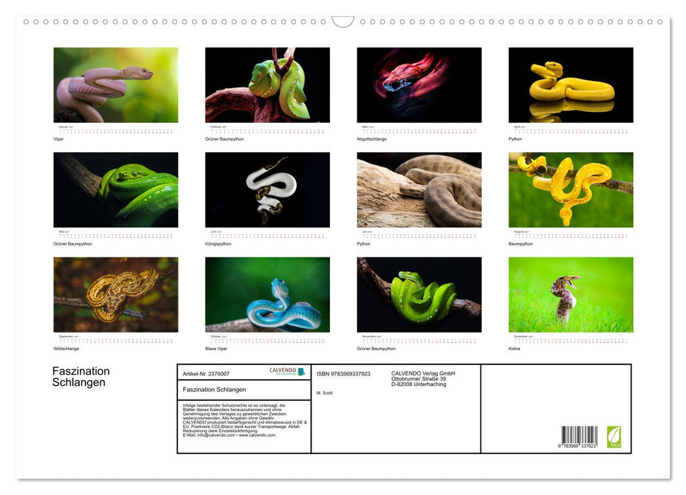 Faszination Schlangen (CALVENDO Wandkalender 2027)