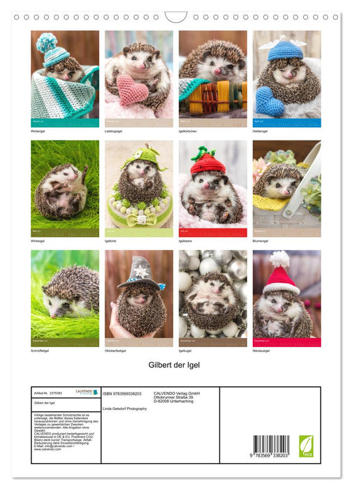 Gilbert der Igel (CALVENDO Wandkalender 2027)