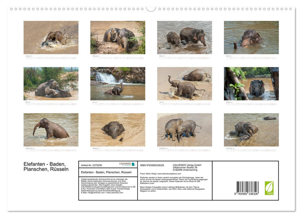 Elefanten - Baden, Planschen, Rüsseln (CALVENDO Premium Wandkalender 2027)