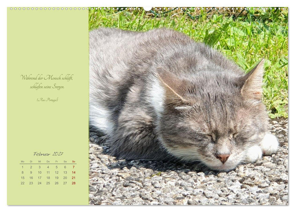 Häng einfach mal ab (CALVENDO Premium Wandkalender 2027)