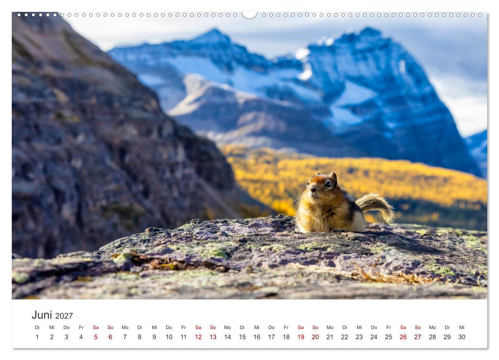 Kanada - Eine Reise durch ein spektakuläres Land. (CALVENDO Premium Wandkalender 2027)