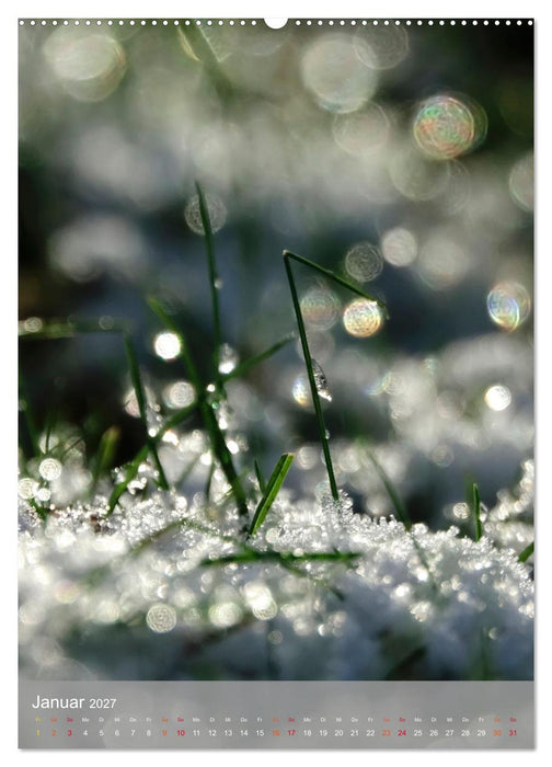 Mit Bokeh-Fotografie durch das Jahr (CALVENDO Wandkalender 2027)