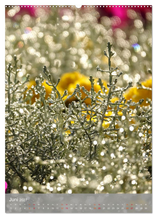 Mit Bokeh-Fotografie durch das Jahr (CALVENDO Wandkalender 2027)