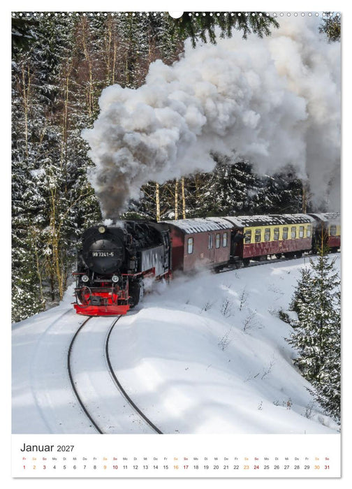 Stadt Wernigerode (CALVENDO Wandkalender 2027)