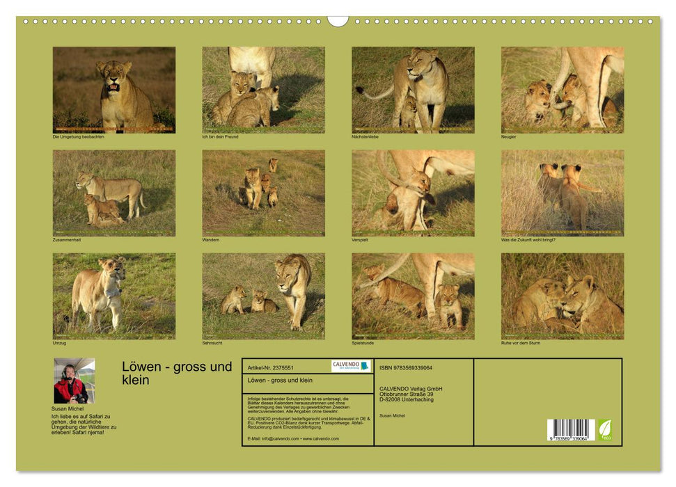 Löwen - gross und klein (CALVENDO Wandkalender 2027)