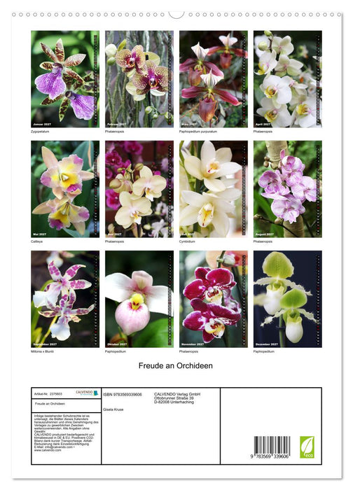 Freude an Orchideen (CALVENDO Premium Wandkalender 2027)