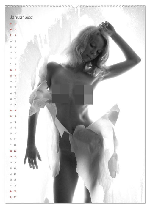 Papierakte (CALVENDO Wandkalender 2027)