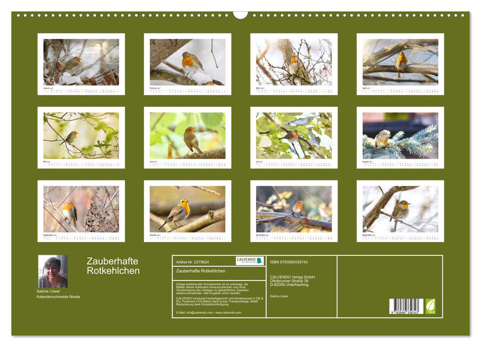 Zauberhafte Rotkehlchen (CALVENDO Wandkalender 2027)