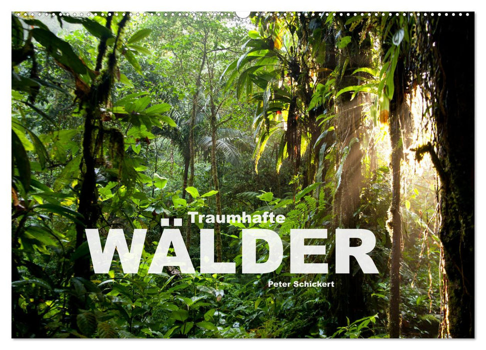 Traumhafte Wälder (CALVENDO Wandkalender 2027)
