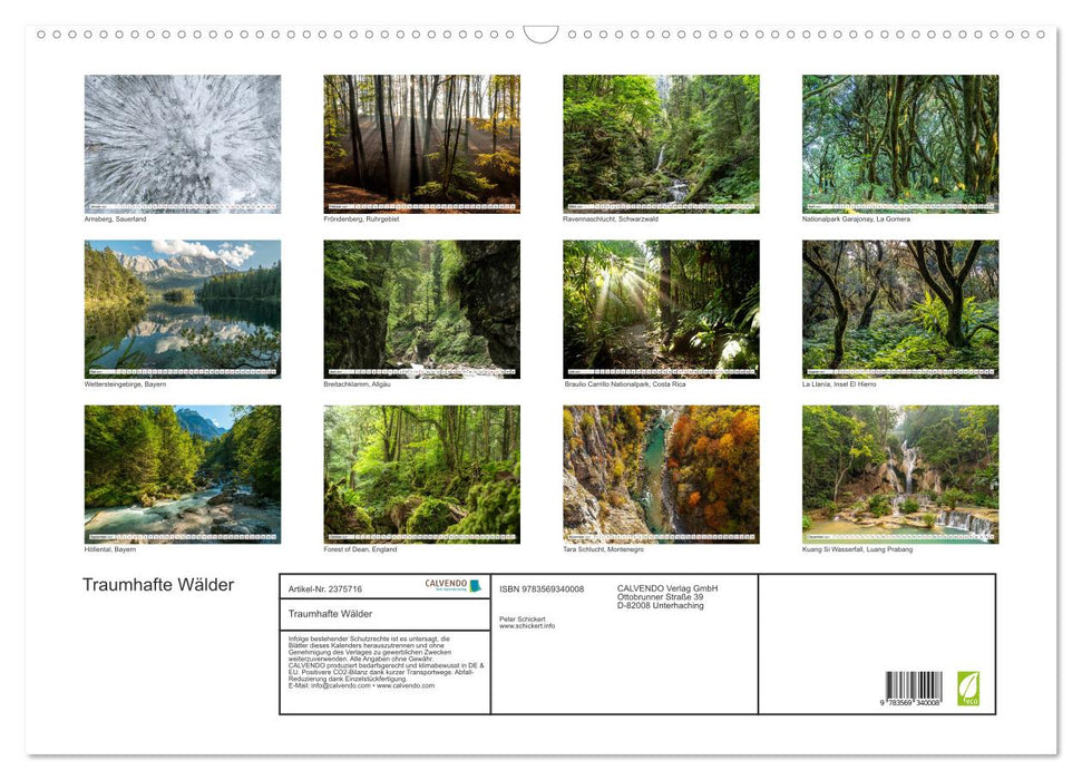 Traumhafte Wälder (CALVENDO Wandkalender 2027)