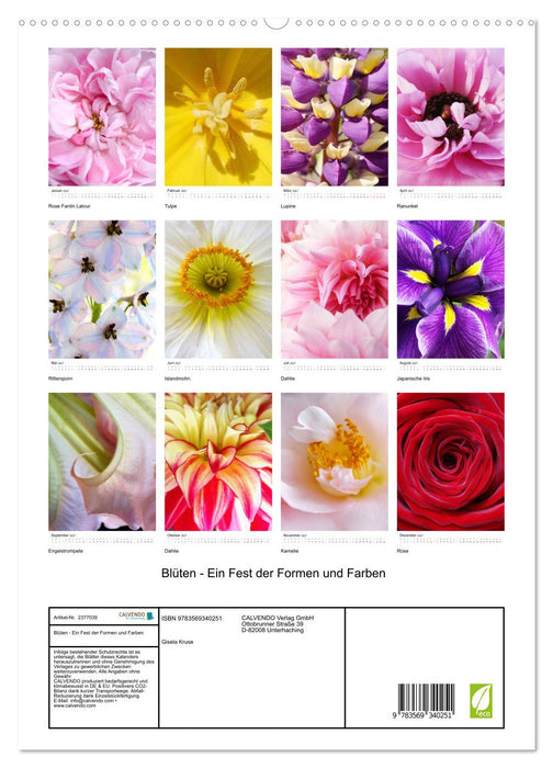 Blüten - Ein Fest der Formen und Farben (CALVENDO Premium Wandkalender 2027)