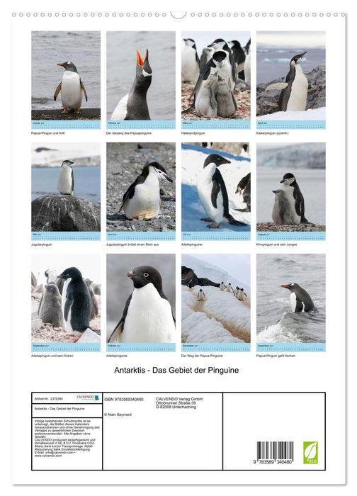 Antarktis - Das Gebiet der Pinguine (CALVENDO Premium Wandkalender 2027)