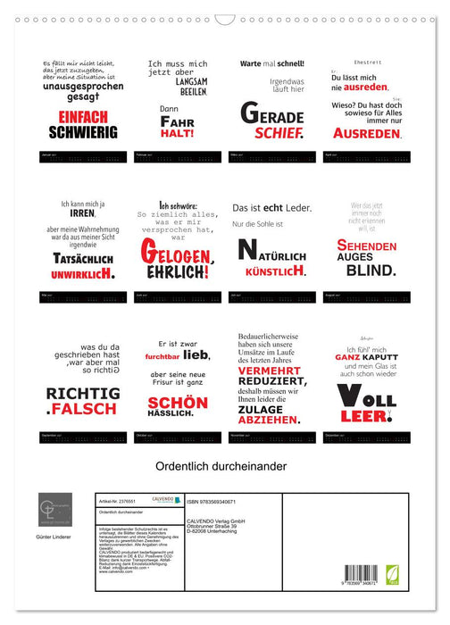 Ordentlich durcheinander (CALVENDO Wandkalender 2027)