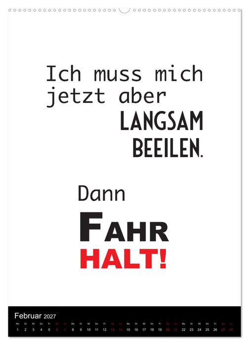 Ordentlich durcheinander (CALVENDO Wandkalender 2027)