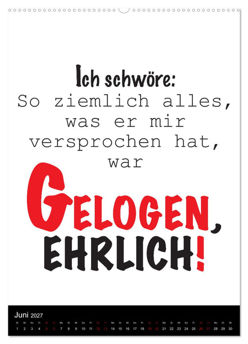 Ordentlich durcheinander (CALVENDO Wandkalender 2027)