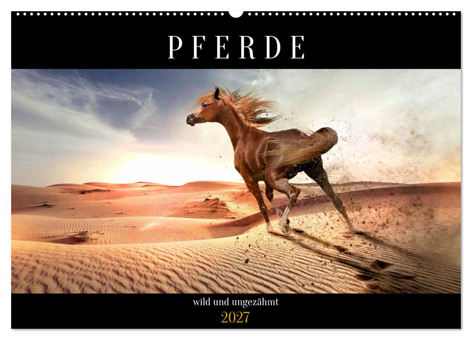 Pferde - wild und ungezähmt (CALVENDO Wandkalender 2027)