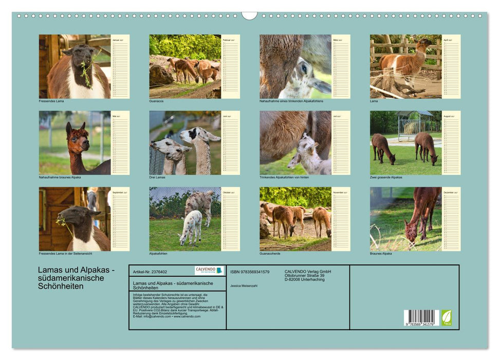 Lamas und Alpakas - südamerikanische Schönheiten (CALVENDO Wandkalender 2027)