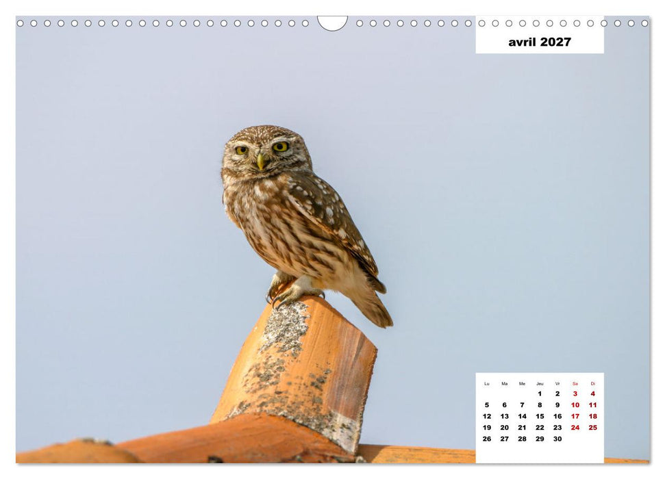 Les habitants de Lesbos Ile des cyclades (CALVENDO Calendrier mensuel 2027)