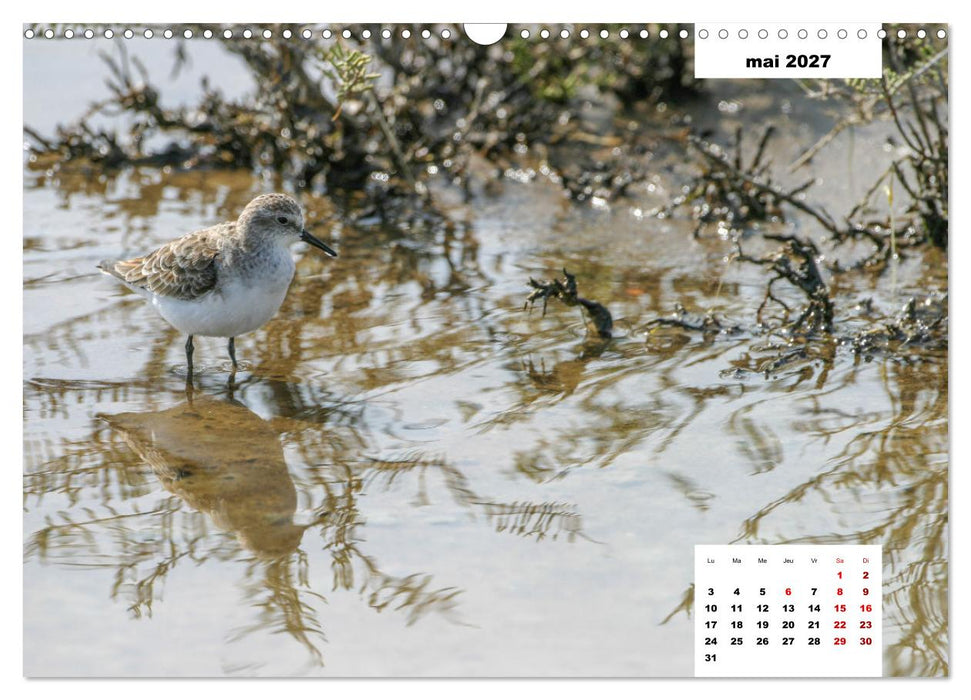 Les habitants de Lesbos Ile des cyclades (CALVENDO Calendrier mensuel 2027)