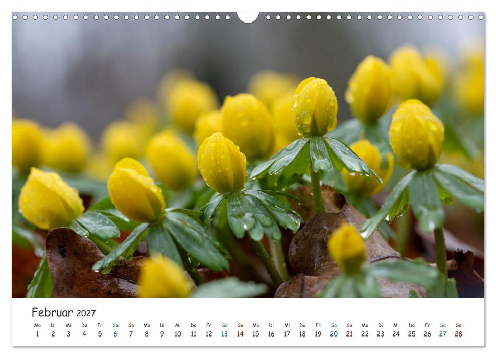 Typisch Magdeburg (CALVENDO Wandkalender 2027)