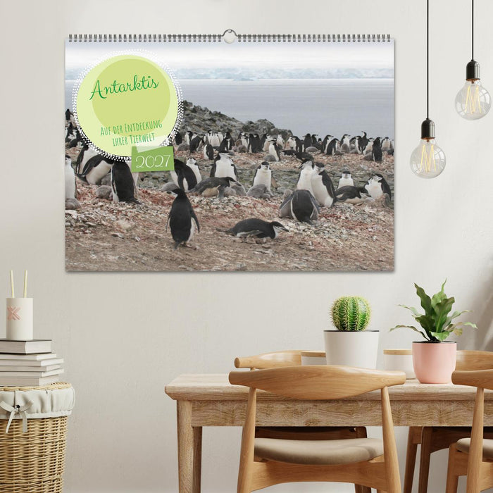 Antarktis Auf der Entdeckung ihrer Tierwelt (CALVENDO Wandkalender 2027)