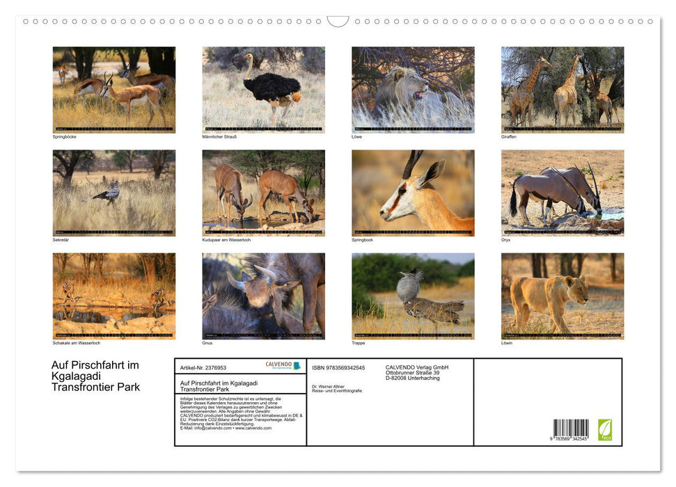 Auf Pirschfahrt im Kgalagadi Transfrontier Park (CALVENDO Wandkalender 2027)