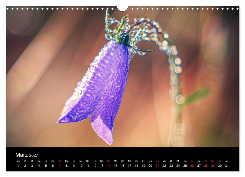 Blumen Träumchen (CALVENDO Wandkalender 2027)