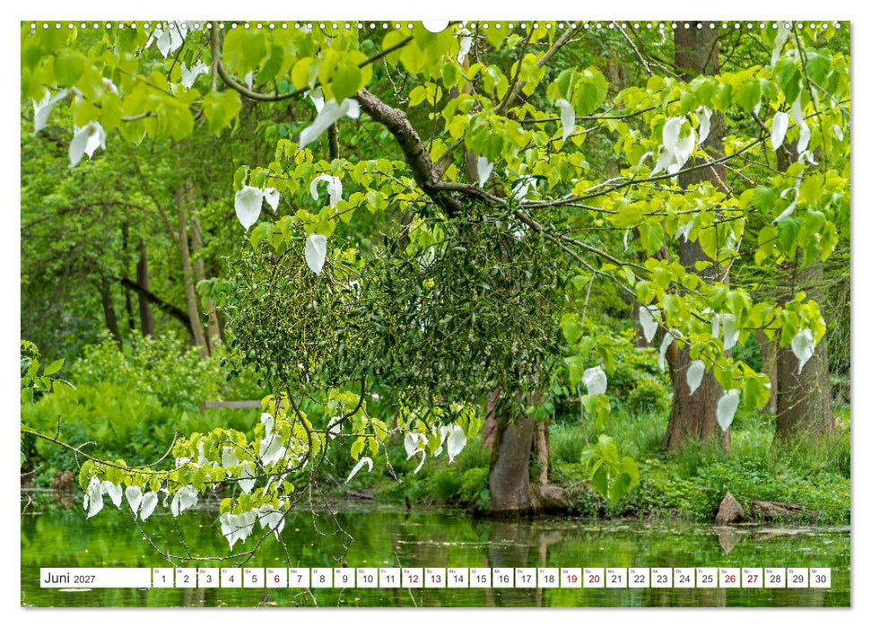 Rhein-Erft-Kreis - Burgen, Schlösser und mehr (CALVENDO Wandkalender 2027)