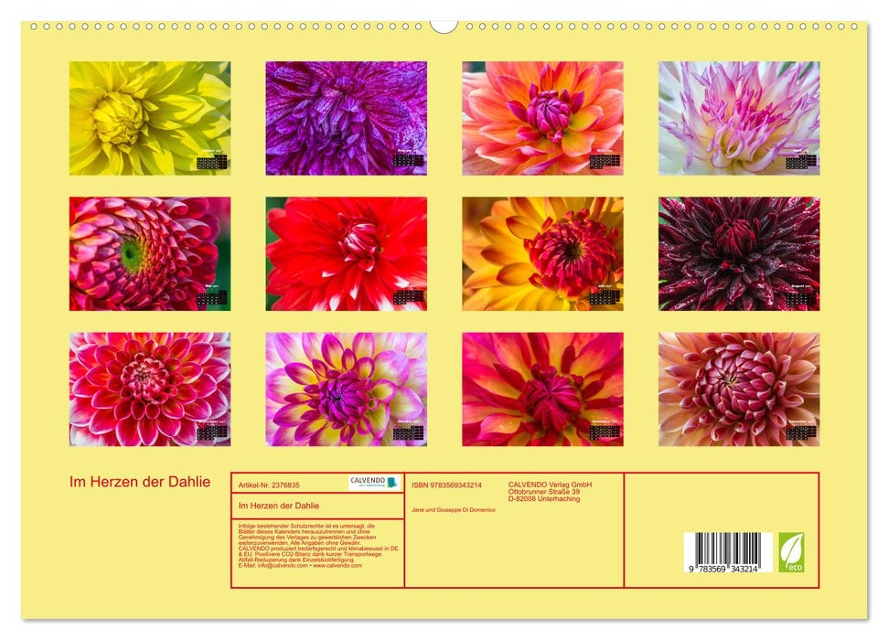 Im Herzen der Dahlie (CALVENDO Premium Wandkalender 2027)