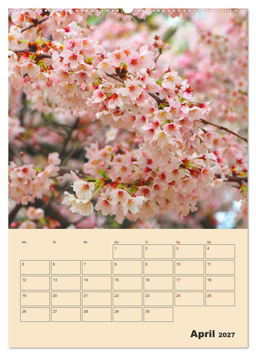 Tokio - Terminplaner (CALVENDO Wandkalender 2027)