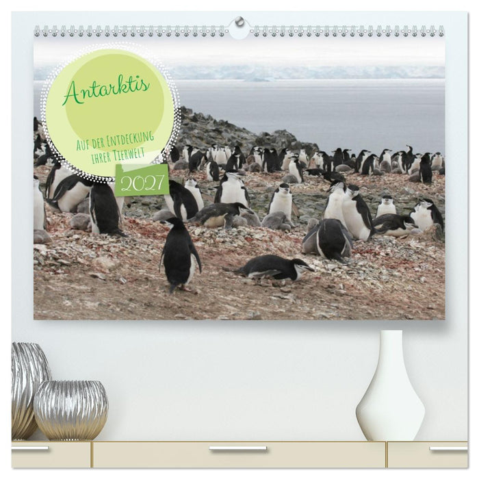 Antarktis Auf der Entdeckung ihrer Tierwelt (CALVENDO Premium Wandkalender 2027)