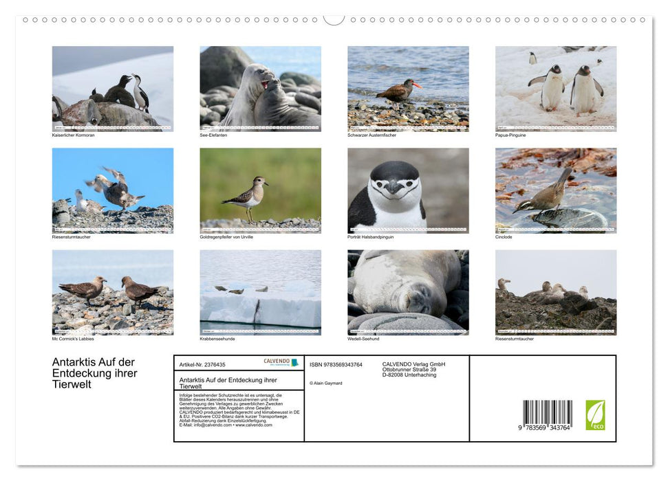Antarktis Auf der Entdeckung ihrer Tierwelt (CALVENDO Premium Wandkalender 2027)