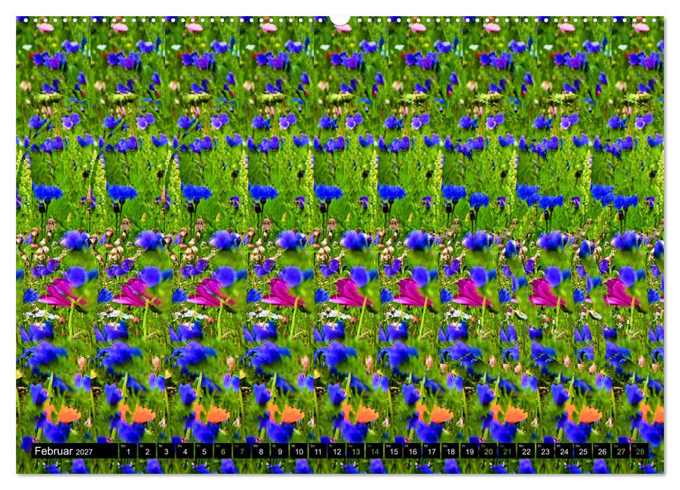 Magische Bilder - Stereogramme und 3D-Illusionen (CALVENDO Premium Wandkalender 2027)